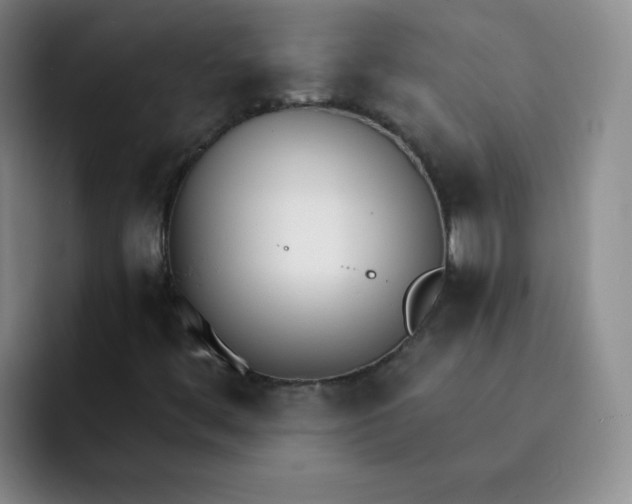 X0000091661444200709201135