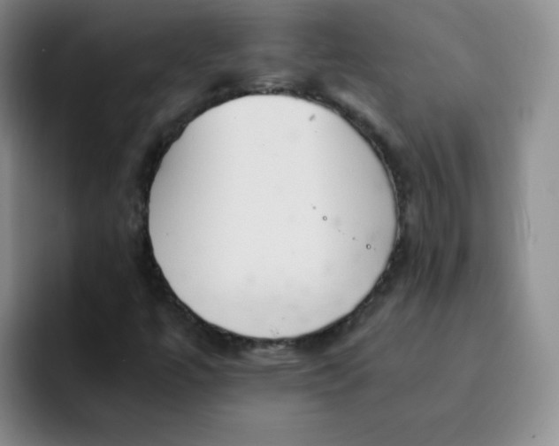 X0000091661447200709201135