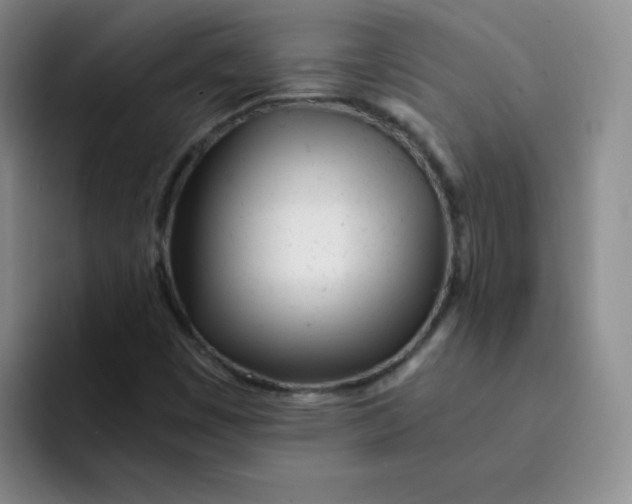 X0000091661449200709201135