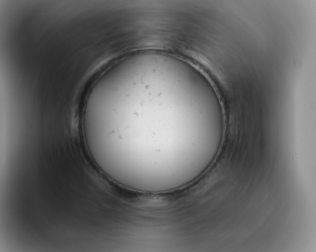 X0000091661450200709201135