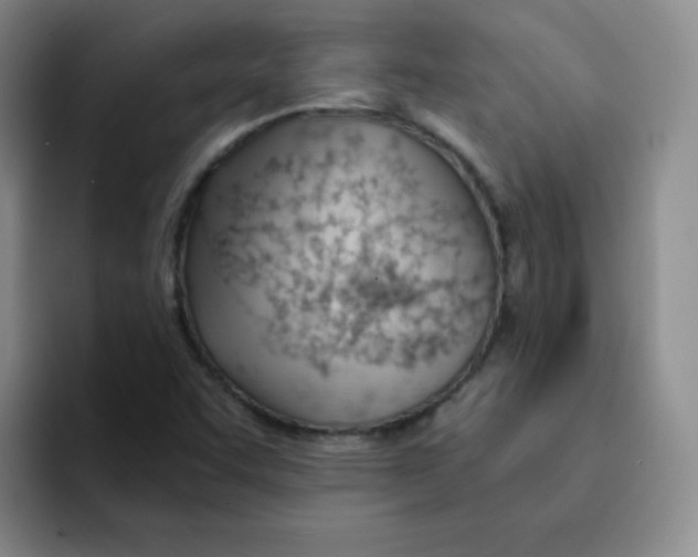 X0000091661455200709201135