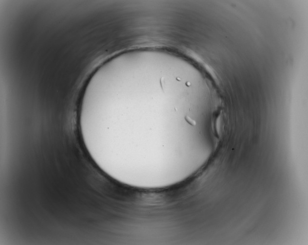 X0000091661459200709201135