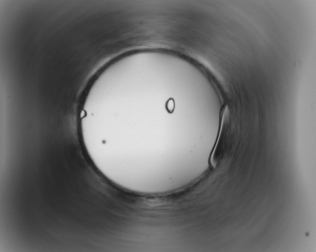 X0000091661460200709201135