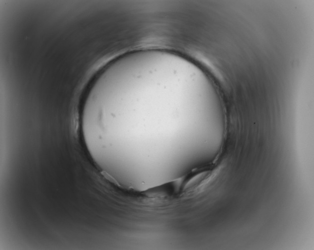 X0000091661461200709201135