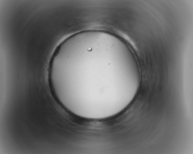 X0000091661463200709201135