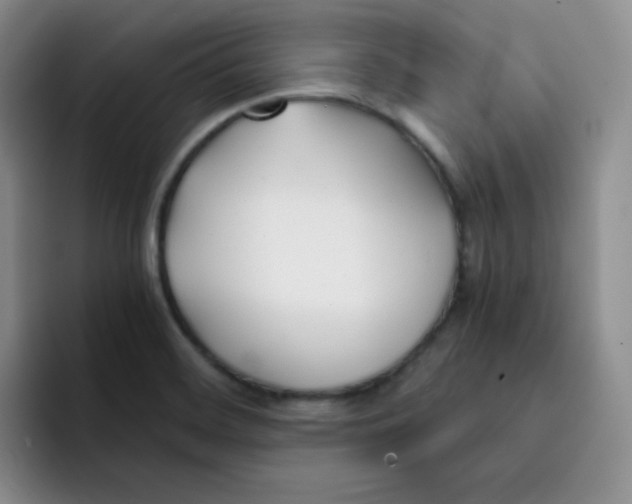 X0000091661468200709201135