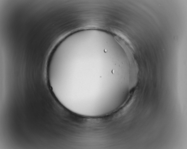 X0000091661469200709201135