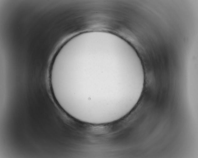 X0000091661470200709201135