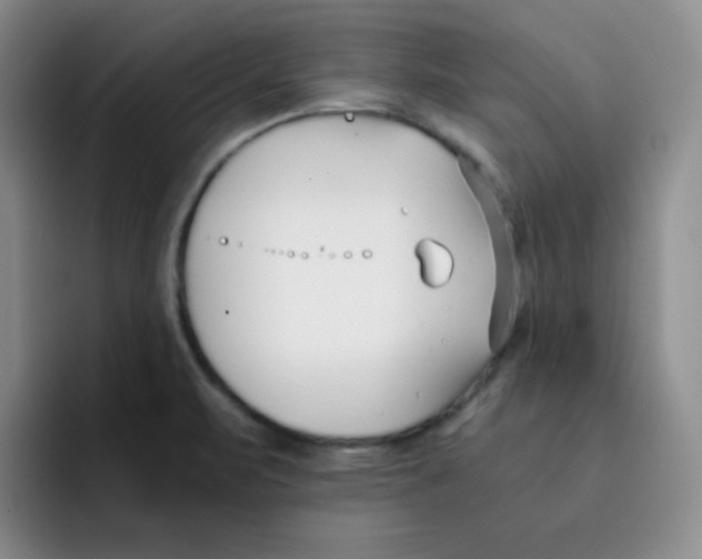 X0000091661471200709201135