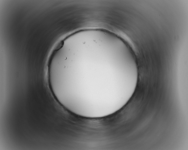 X0000091661472200709201135