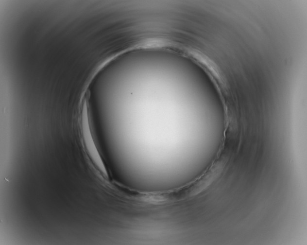 X0000091661473200709201135