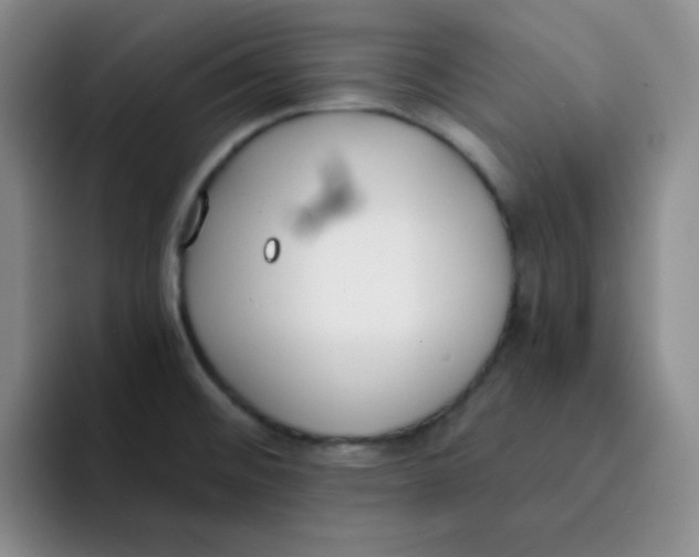 X0000091661476200709201135