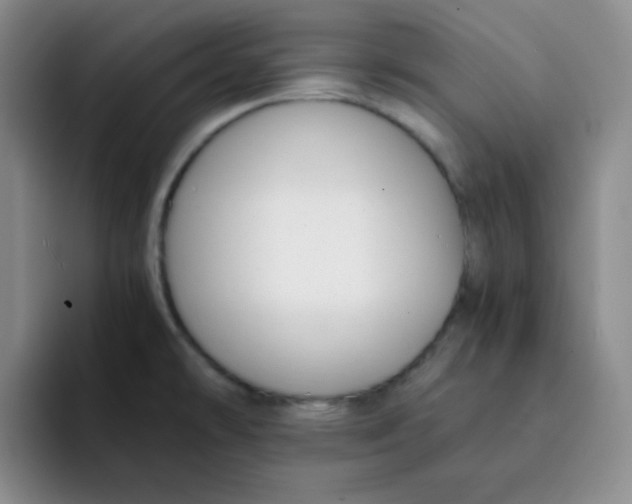 X0000091661478200709201135