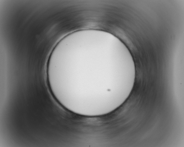 X0000091661479200709201135