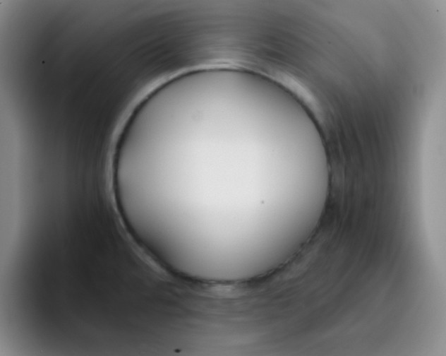 X0000091661480200709201135