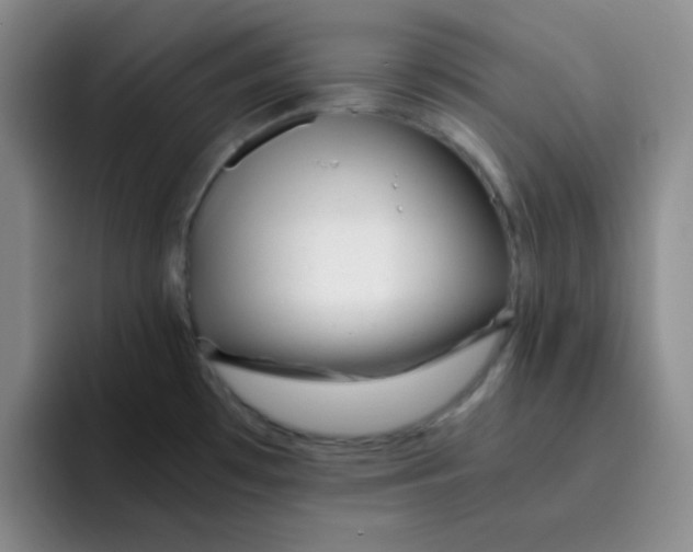 X0000091661481200709201135