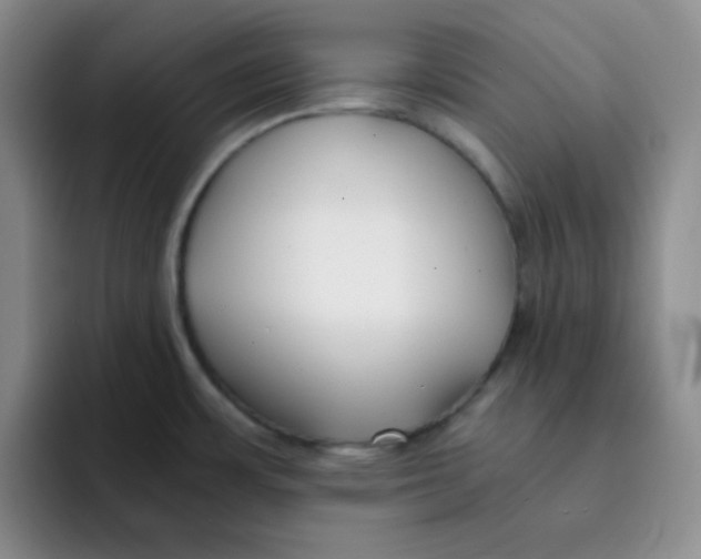 X0000091661483200709201135