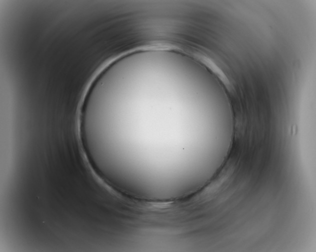 X0000091661484200709201135