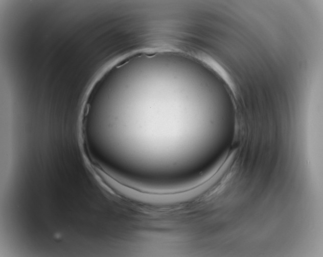 X0000091661485200709201135