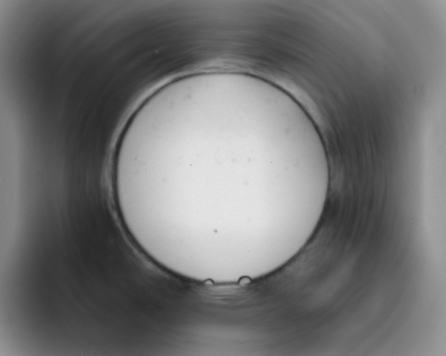 X0000091661486200709201135