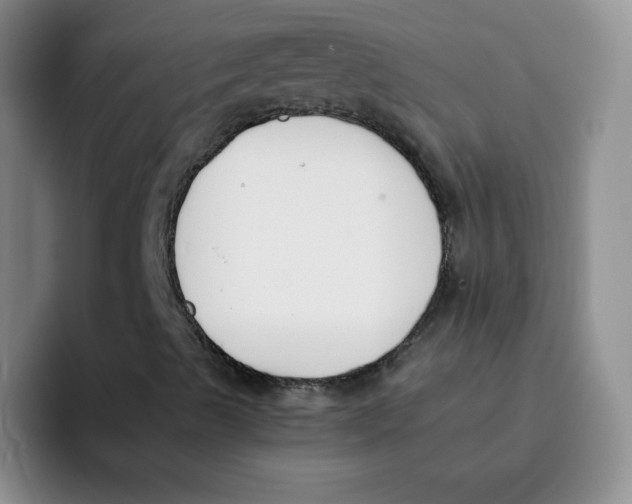 X0000091661489200709201134