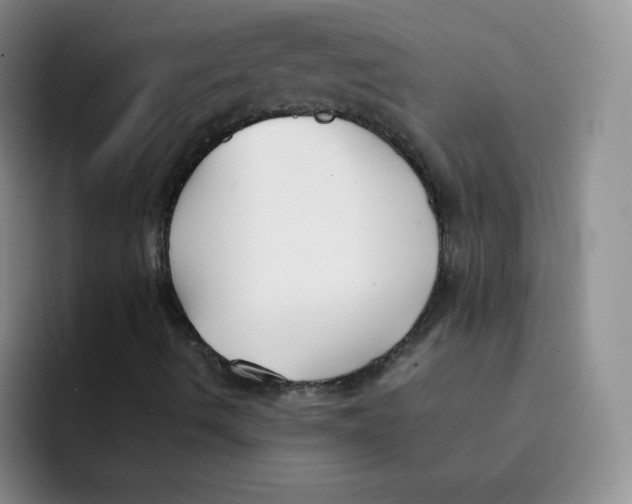 X0000091661490200709201134