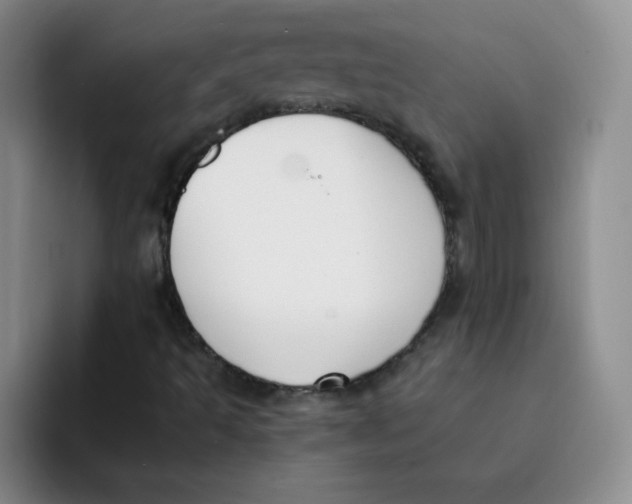 X0000091661493200709201134