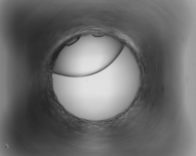 X0000091661496200709201134