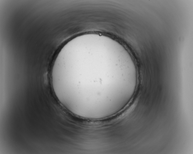 X0000091661497200709201134