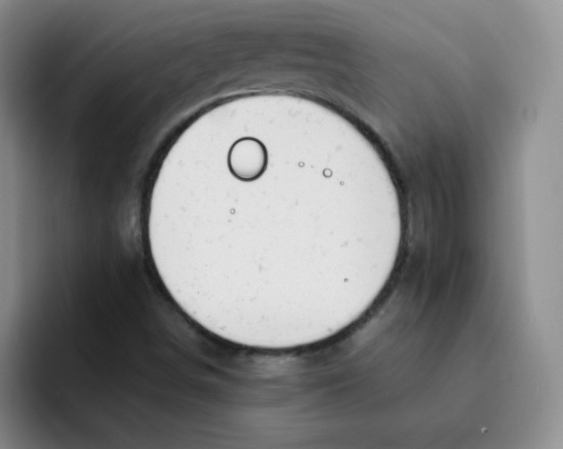 X0000091661498200709201135