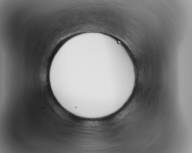 X0000091661499200709201135