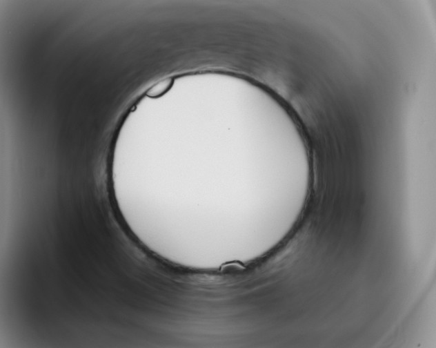 X0000091661500200709201135