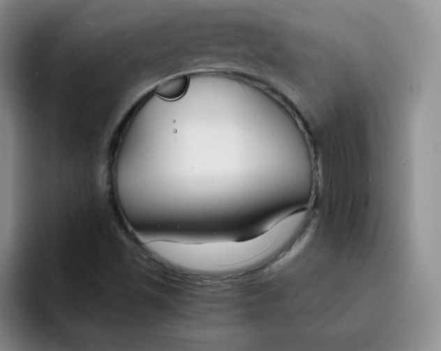 X0000091661501200709201135