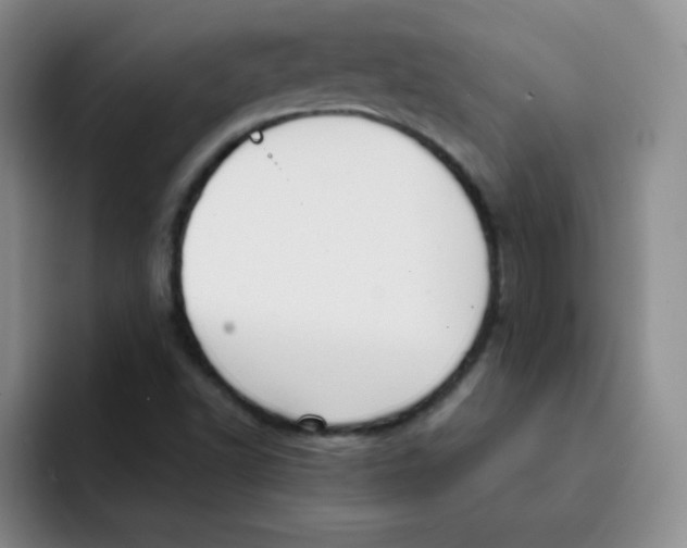 X0000091661502200709201135