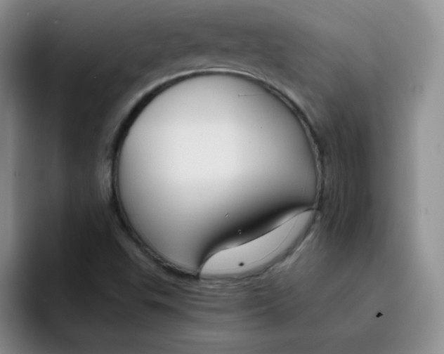 X0000091661503200709201135