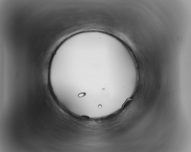 X0000091661504200709201135