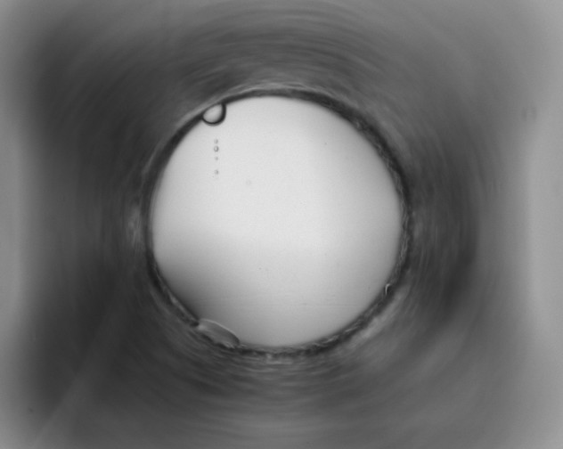 X0000091661505200709201135