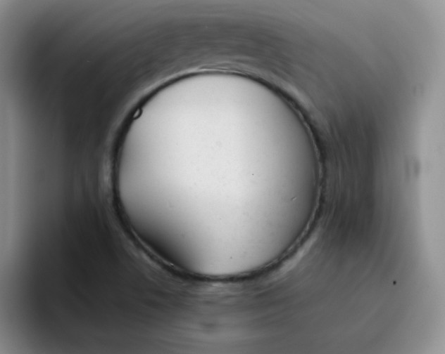 X0000091661506200709201135