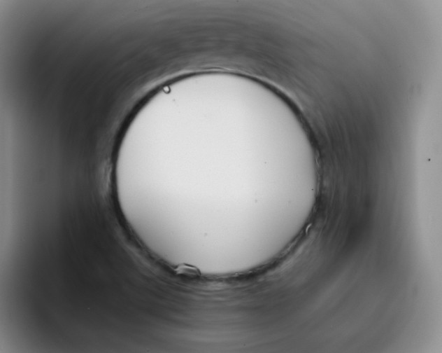 X0000091661507200709201135