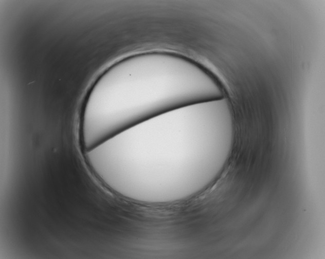 X0000091661508200709201135