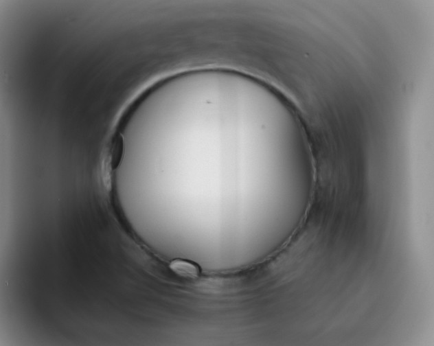 X0000091661510200709201135