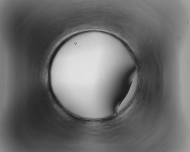 X0000091661511200709201135