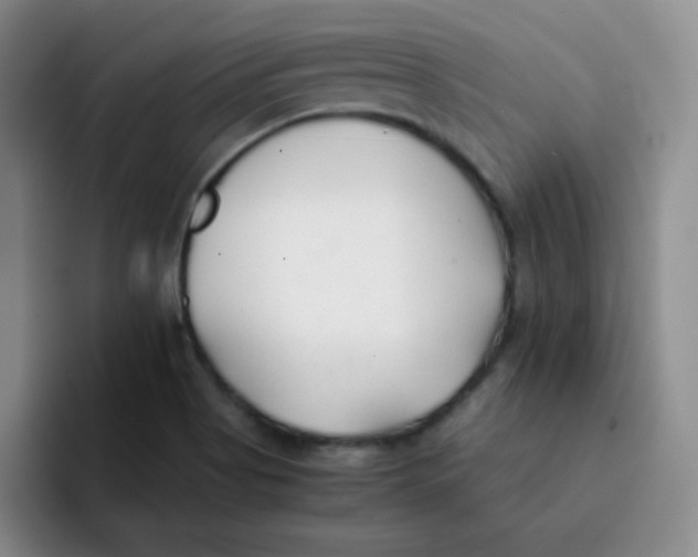 X0000091661513200709201135