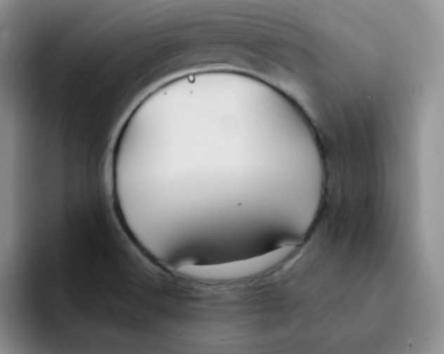 X0000091661516200709201135