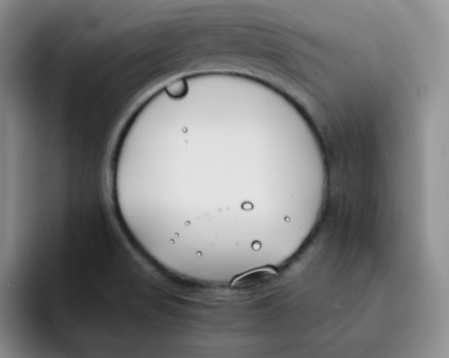 X0000091661517200709201135