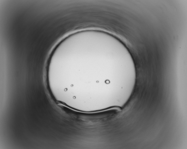 X0000091661518200709201135