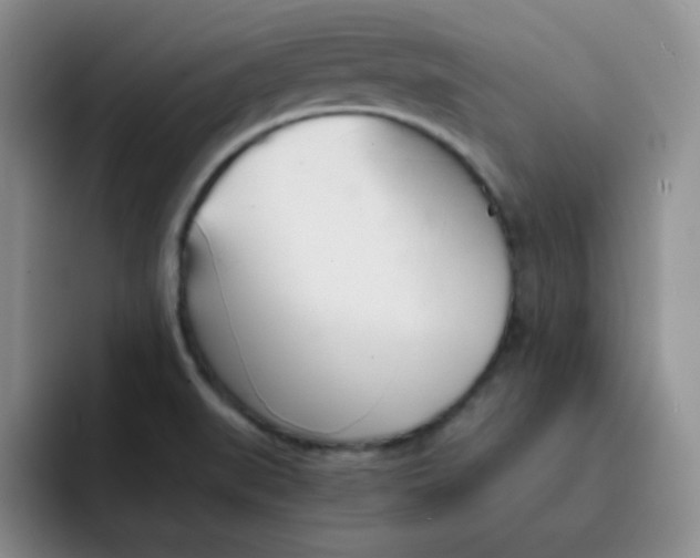 X0000091661519200709201135