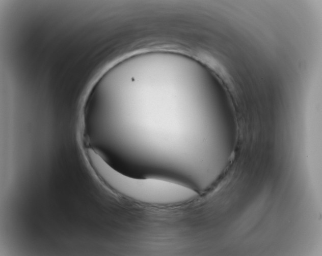 X0000091661520200709201135