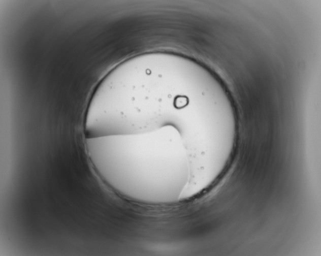 X0000091661521200709201135