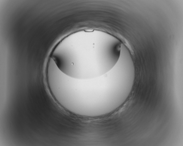 X0000091661522200709201135